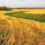 Help Applicators Keep Field Workers Safe